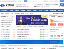 Tablet Screenshot of ln.bidcenter.com.cn